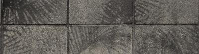 Обои  SHINHAN Wallcover Scarlet арт.88349-2 фото в интерьере